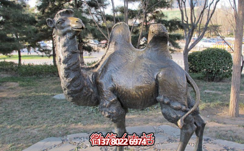 創(chuàng)意大型玻璃鋼駱駝雕塑，在草地上擺放，一眼回頭